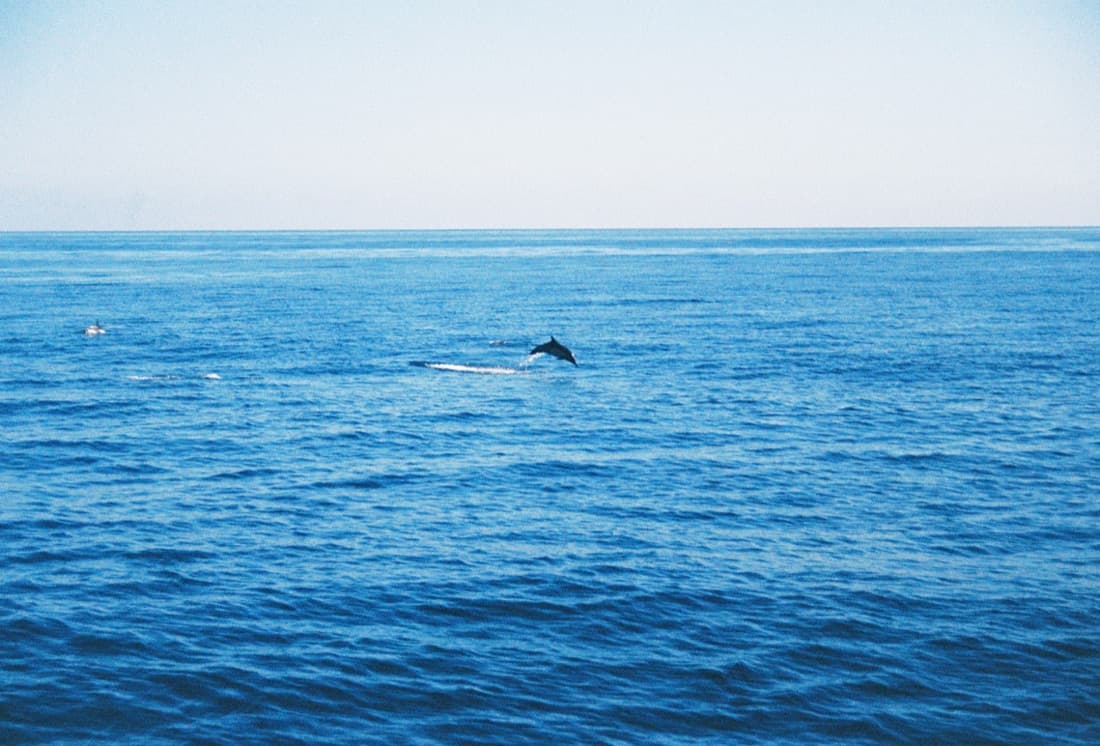 An ocean view