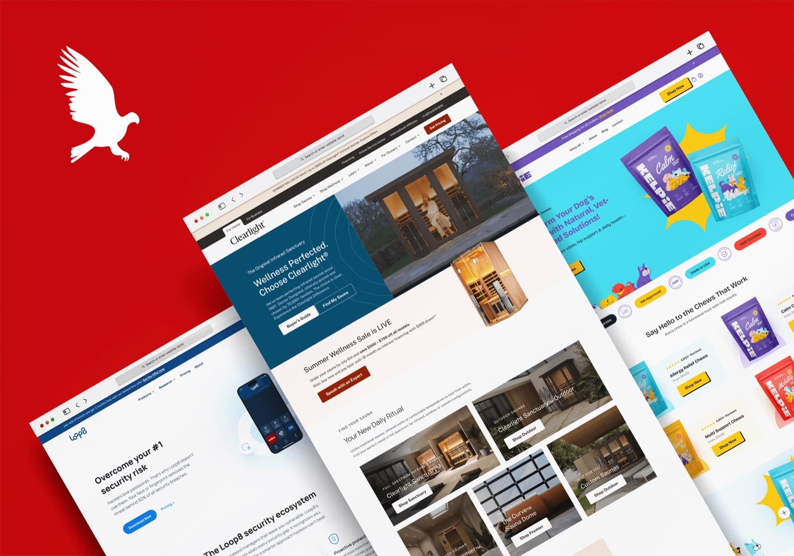 Ecommerce, Elevated